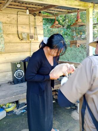 Vaksinasi Rabies di dusun Beji dan Bulakan 